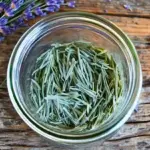 The Healing Power of Trees: How Barefoot Grounding Restores Mind and Body