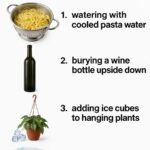 15 smells squirrels, chipmunks, and other critters in your garden absolutely hate