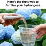 You are doing it wrong. Here’s what you should plant together & what to never mix