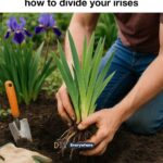 10 weird ways to save dying houseplants in winter