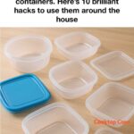 10 Great Reasons Why You Should Grow Lemon Balm