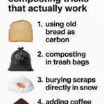 Stop pulling this up—it’s not a weed. Here’s why