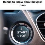 How to Successfully Grow Beets in Containers