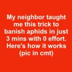 I didn’t know this!