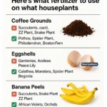 10 unexpected items you can safely mulch with this winter