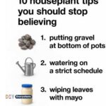 10 unexpected things you should bury in your garden