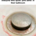 You are doing it all wrong. Here’s the right time to wash your hair