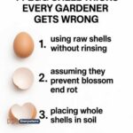 I had no idea you could do this