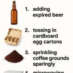 10 watering myths ruining your lawn