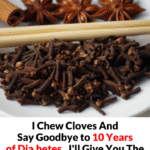 Japanese Longevity Secrets: What the Oldest Doctors in Japan Eat Every Day to Stay Young and Strong