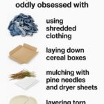 Get rid of squirrels for good by planting these 10 squirrel-repelling plants