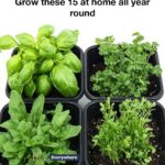 11 freaky bathroom hacks that actually make cleaning easier