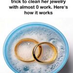 The Science of Clove Smoke: Why This Old Remedy Works Against Germs