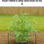 Here’s why experienced gardeners stock up on Irish Spring every year