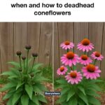 10 unexpected items you can safely mulch with this winter