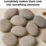 11 december planting tricks you’ve never heard of