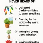 Avoid these 6 marigold varieties in your garden. Here’s why