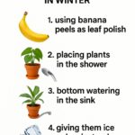 Want perfectly edged grass around your garden beds? Follow these 7+ tips