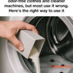 18 Perennial Veggies You Can Plant Once and Harvest For Years