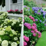 Baking Soda in the Garden: The Plants That Thrive on It (and How to Use It)