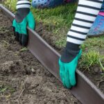 10 weird ways to save dying houseplants in winter