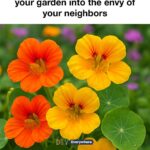 My nana taught me this hack to strengthen thinning hair in 7 mins with 0 work. Here’s how it works