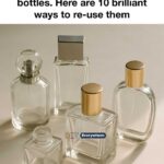 25 Beautiful Plants That Grow Well Under Trees