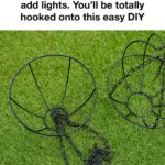 15 Flowers You Shouldn’t Deadhead