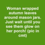 Crack garden pots and rebuild them into layered mini planters. This is a top-tier holiday upcycle