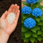 If you see these buggers near your pots, don’t panic. Here are 6 brilliant things you can do