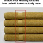 Stop freezing these 10 leftovers