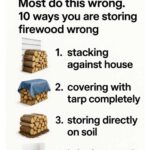 This was in my food—stuck to the meat but not actually stuck into it. Does anyone know what it could be?