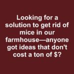 You are doing it all wrong. Here’s the right way to use your vacuum