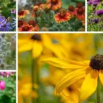 Why You Should Scatter Cloves Around the House During Fall – It’s More Than Scent