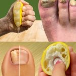 How to Build a Brick Walkway in Your Garden: A Step-by-Step Guide