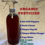 If you see these 8 behaviors in someone, it means they secretly want to see you fail