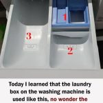 You are doing it wrong. Here’s what fertilizer to use on what houseplants