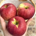 This plant destroys cancer cells