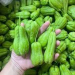 How to Keep Your Plastic Cutting Board Clean and Safe – A No-Nonsense Guide to a Germ-Free Kitchen