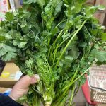 Why Some Window Bars Curve at the Bottom: The Real Reason Most People Don’t Know