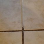 Top 10 Secrets to Growing the Biggest, Healthiest Spider Plants