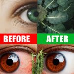 Tuna and Tomato Sandwich Cake: A Great Recipe for an Easy and Tasty Snack!