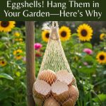 8 bathroom habits that ruin your feeling of freshness (and how to fix them)