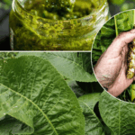 Here’s Why You Should Always Put a Coffee Filter in Your Flower Pots