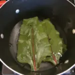 How to Get Your Christmas Cactus to Multiply Before Bloom Season