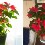 Here’s Why You Want to Hang Lavender Bundles Around Your Garden