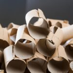 Purslane: The Underestimated Superfood with Maximum Health Benefits