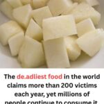 How to Grow Unlimited Tomato Plants from Just a Few Slices