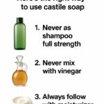 Stop Throwing Away Empty Toilet Rolls: 7 ways To Reuse them Again in the Garden