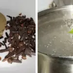 25 Seeds to Plant in Fall for Blooms Next Year